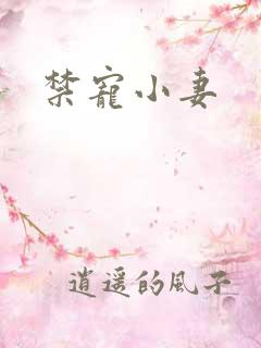 禁宠小妻