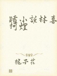 赌小说林喜朝和柯煜