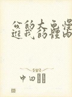 公的大龟慢慢挺进我的体内小说