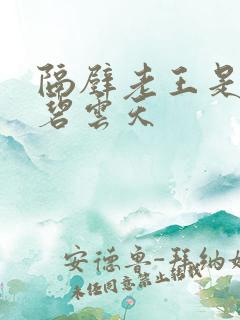 隔壁老王是皇帝碧云天