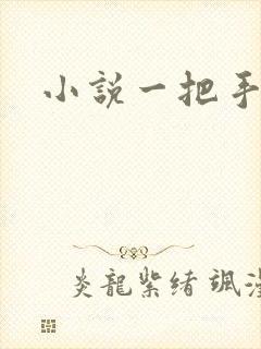小说一把手