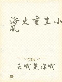 浴火重生小说陈风