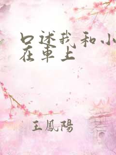 口述我和小娻孑在车上