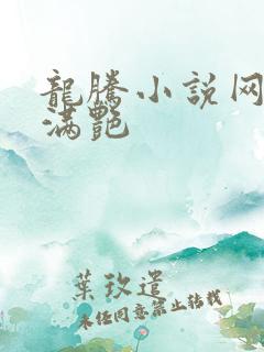 龙腾小说网乡村满艳