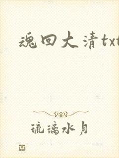 魂回大清txt