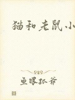 猫和老鼠小说