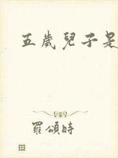 五岁儿子是相公