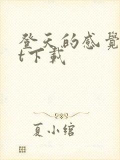 登天的感觉txt下载