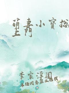 萌妻小宝总裁找上门