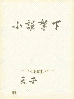 小说拿下