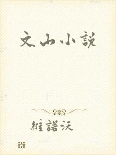 文山小说