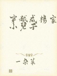 穿越成杨家将最小儿子