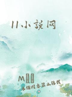 11小说网
