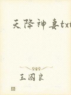 天降神妻txt