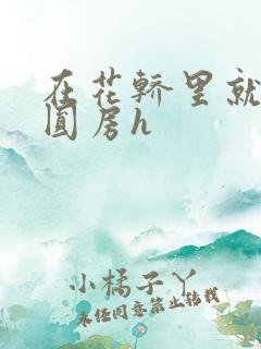 在花轿里就开始圆房h