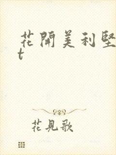 花开美利坚txt