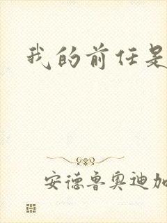 我的前任是极品