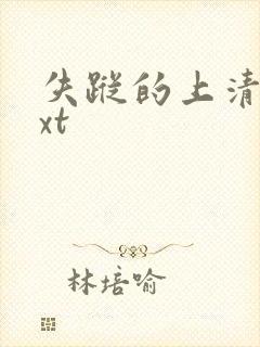 失踪的上清寺txt