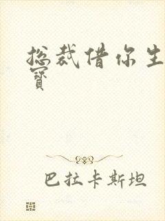 总裁借你生个宝宝