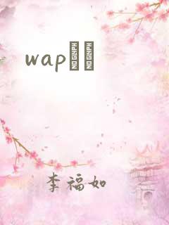 wapС˵