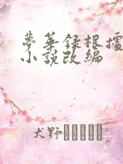 梦华录根据什么小说改编