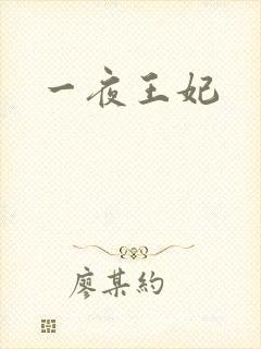 一夜王妃