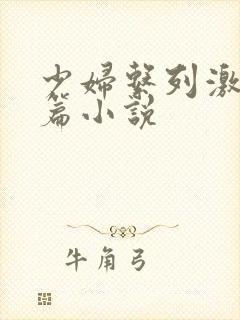 少妇系列激情短篇小说