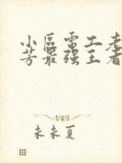 小区电工老周刘芳最强王者