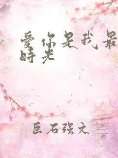 爱你是我最好的时光