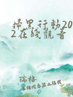 扫黑行动2022在线观看