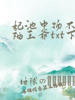 妃池中物不嫁断袖王爷txt下载