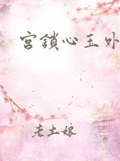 宫锁心玉外传