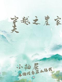 穿越之农家女御夫