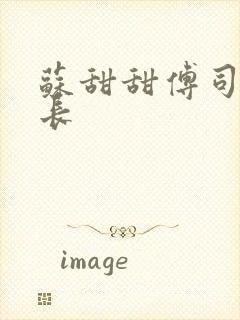 苏甜甜傅司衍机长