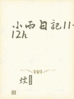 小雨日记11-12h