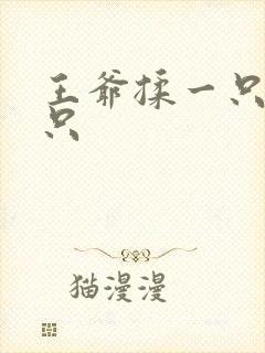 王爷揉一只舔一只