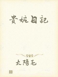 贵婉日记