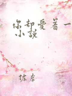 你却爱着一个他 小说