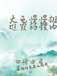 大龟慢慢挺进王进霞的体内