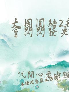 大团圆结2亲情会闪闪发光亲情会2