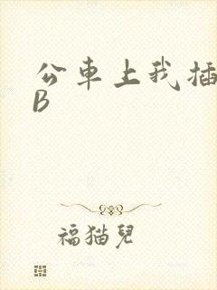 公车上我插上骚B