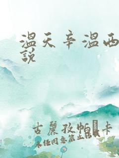温天辛温西离小说