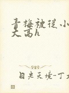 青梅被从小玩到大高h