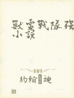 兽电战队强龙者小说