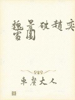 魏晨破赵奕欢的处图