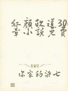 红颜政道300章小说免费阅读