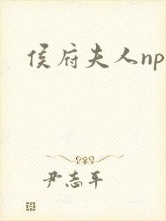 侯府夫人np