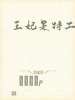 王妃是特工