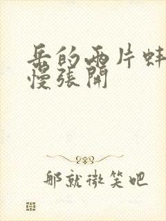 岳的两片蚌肉慢慢张开