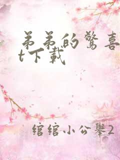 弟弟的惊喜txt下载